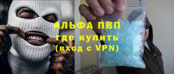 спиды Бородино
