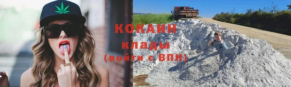 спиды Бородино