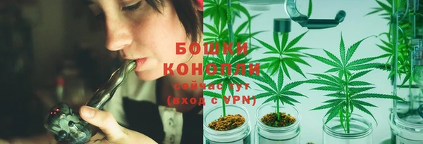 гидра Верея