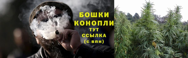 гидра Верея