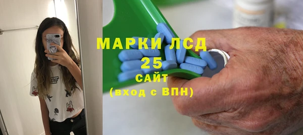 гидра Верея