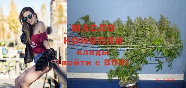 гидра Верея